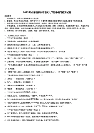 2025年山东省滕州市语文七下期中复习检测试题含解析