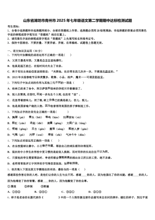 山东省潍坊市青州市2025年七年级语文第二学期期中达标检测试题含解析
