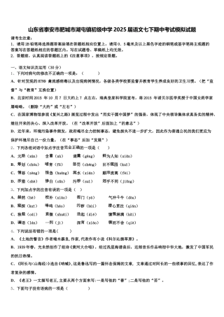山东省泰安市肥城市湖屯镇初级中学2025届语文七下期中考试模拟试题含解析