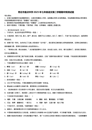 枣庄市重点中学2025年七年级语文第二学期期中预测试题含解析