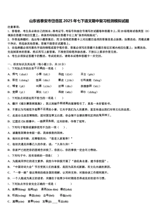 山东省泰安市岱岳区2025年七下语文期中复习检测模拟试题含解析