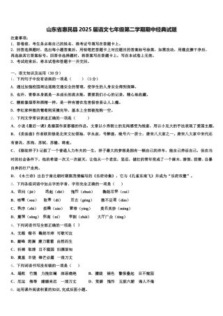 山东省惠民县2025届语文七年级第二学期期中经典试题含解析