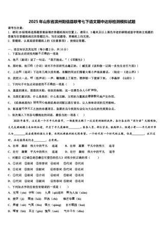 2025年山东省滨州阳信县联考七下语文期中达标检测模拟试题含解析