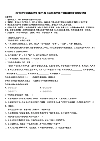 山东省济宁邹城县联考2025届七年级语文第二学期期中监测模拟试题含解析