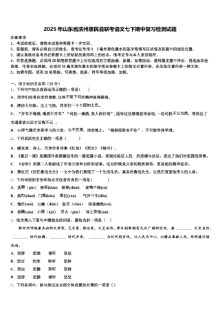 2025年山东省滨州惠民县联考语文七下期中复习检测试题含解析