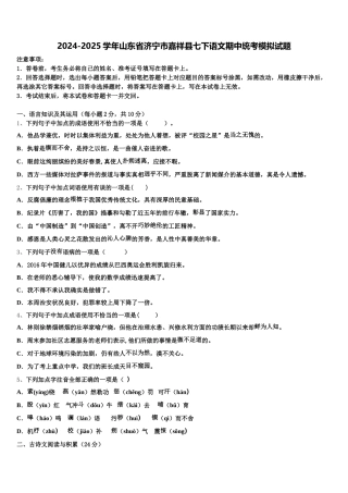 2024-2025学年山东省济宁市嘉祥县七下语文期中统考模拟试题含解析