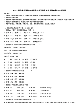 2025届山东省滨州市邹平市部分学校七下语文期中复习检测试题含解析