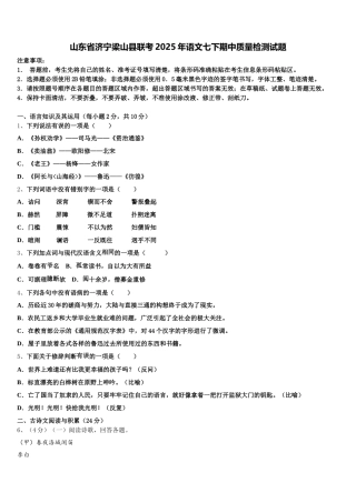 山东省济宁梁山县联考2025年语文七下期中质量检测试题含解析