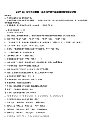 2025年山东菏泽巨野县七年级语文第二学期期中联考模拟试题含解析