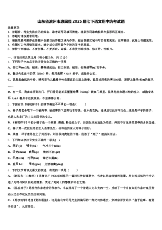 山东省滨州市惠民县2025届七下语文期中统考试题含解析