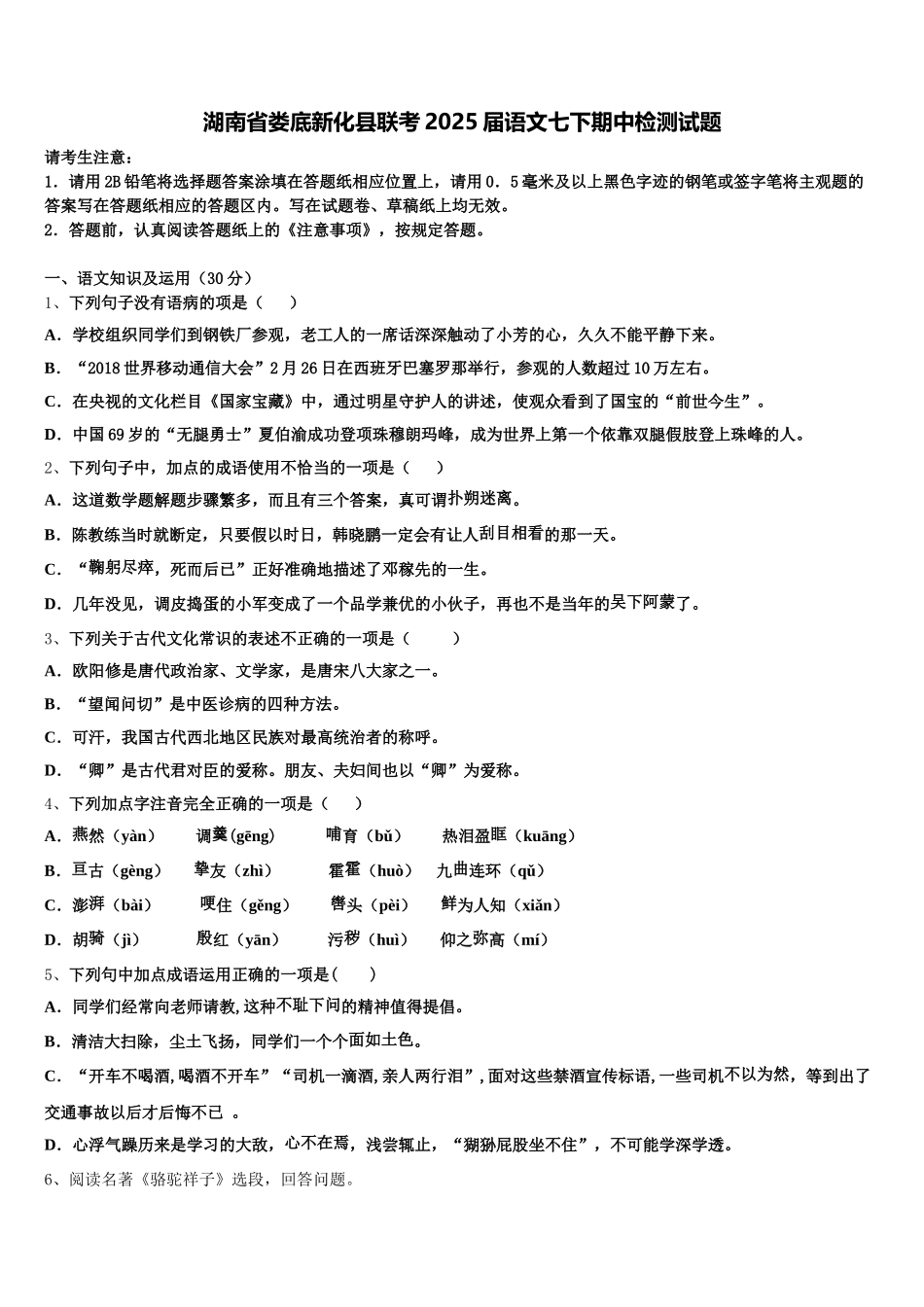 湖南省娄底新化县联考2025届语文七下期中检测试题含解析_第1页