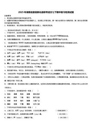 2025年湖南省娄底新化县联考语文七下期中复习检测试题含解析