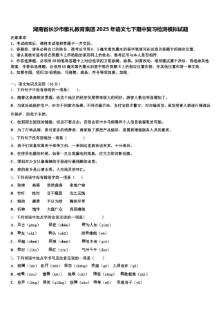 湖南省长沙市雅礼教育集团2025年语文七下期中复习检测模拟试题含解析