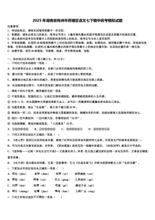 2025年湖南省株洲市荷塘区语文七下期中统考模拟试题含解析