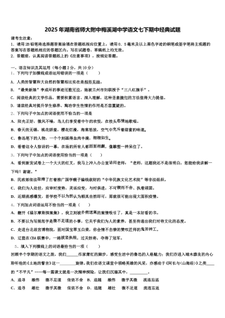 2025年湖南省师大附中梅溪湖中学语文七下期中经典试题含解析