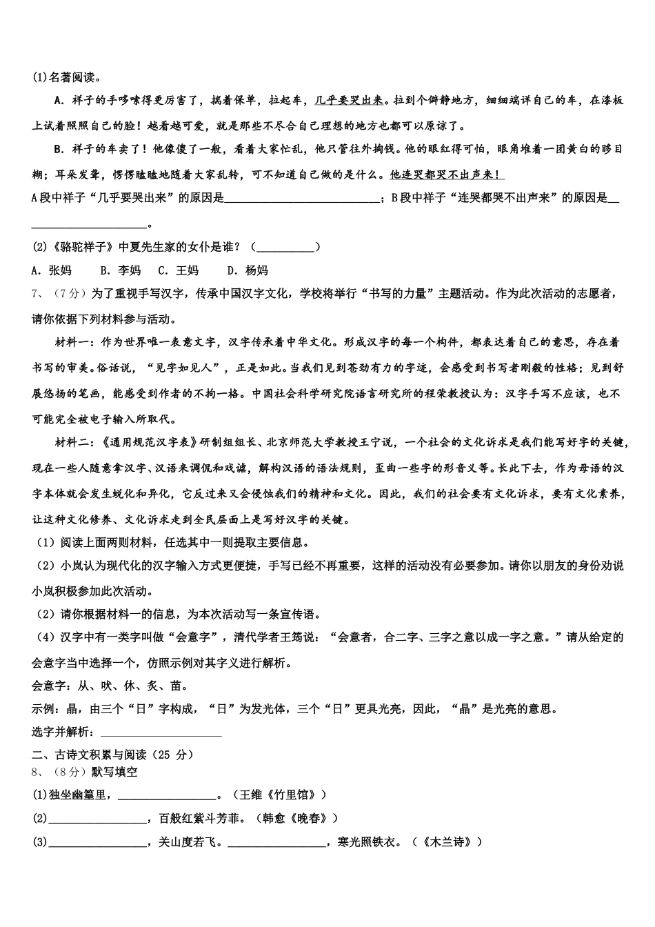 湖南省邵阳市北塔区2024-2025学年七下语文期中复习检测试题含解析_第2页