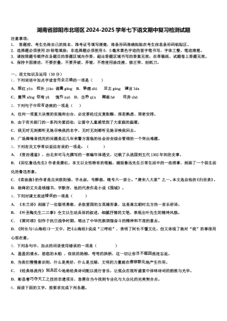 湖南省邵阳市北塔区2024-2025学年七下语文期中复习检测试题含解析