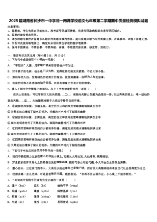 2025届湖南省长沙市一中学湘一南湖学校语文七年级第二学期期中质量检测模拟试题含解析