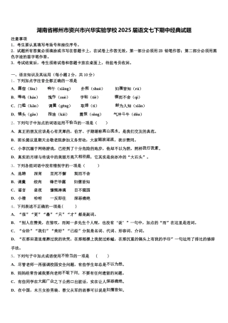 湖南省郴州市资兴市兴华实验学校2025届语文七下期中经典试题含解析
