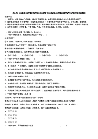 2025年湖南省岳阳市岳阳县语文七年级第二学期期中达标检测模拟试题含解析