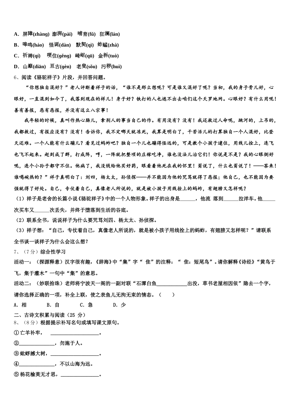 湖南省邵阳市洞口县2025年七下语文期中达标检测试题含解析_第2页