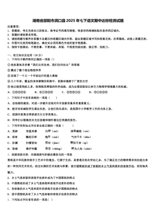湖南省邵阳市洞口县2025年七下语文期中达标检测试题含解析
