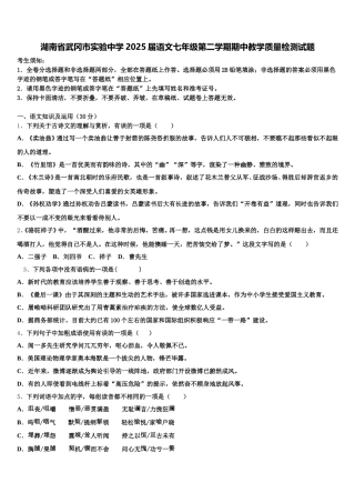 湖南省武冈市实验中学2025届语文七年级第二学期期中教学质量检测试题含解析