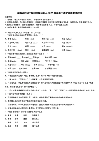 湖南省武冈市实验中学2024-2025学年七下语文期中考试试题含解析