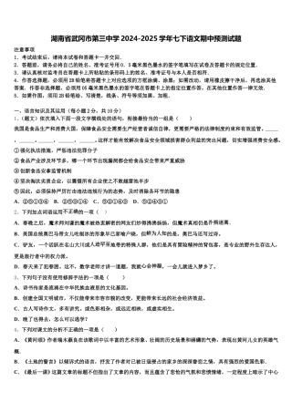 湖南省武冈市第三中学2024-2025学年七下语文期中预测试题含解析