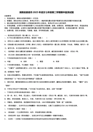 湖南省娄底市2025年语文七年级第二学期期中监测试题含解析