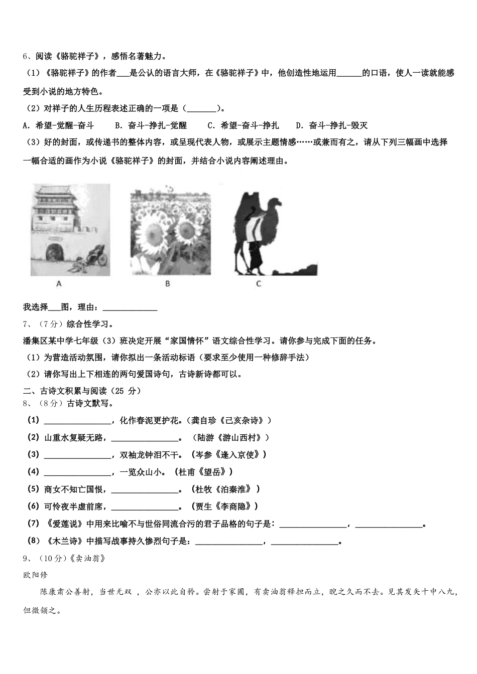 2025年安徽省合肥市名校语文七年级第二学期期中检测模拟试题含解析_第2页