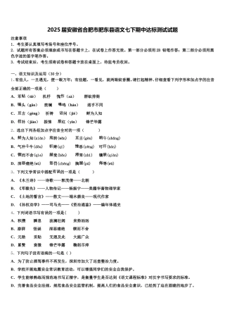 2025届安徽省合肥市肥东县语文七下期中达标测试试题含解析