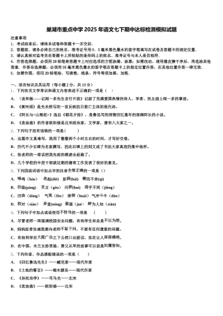 巢湖市重点中学2025年语文七下期中达标检测模拟试题含解析