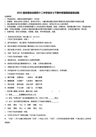 2025届安徽省合肥四十二中学语文七下期中质量跟踪监视试题含解析