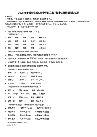 2025年安徽省桐城实验中学语文七下期中达标检测模拟试题含解析