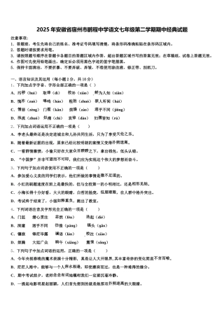 2025年安徽省宿州市鹏程中学语文七年级第二学期期中经典试题含解析
