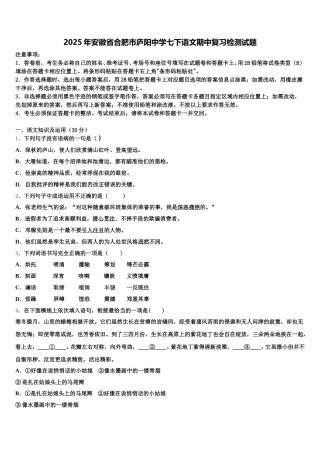 2025年安徽省合肥市庐阳中学七下语文期中复习检测试题含解析