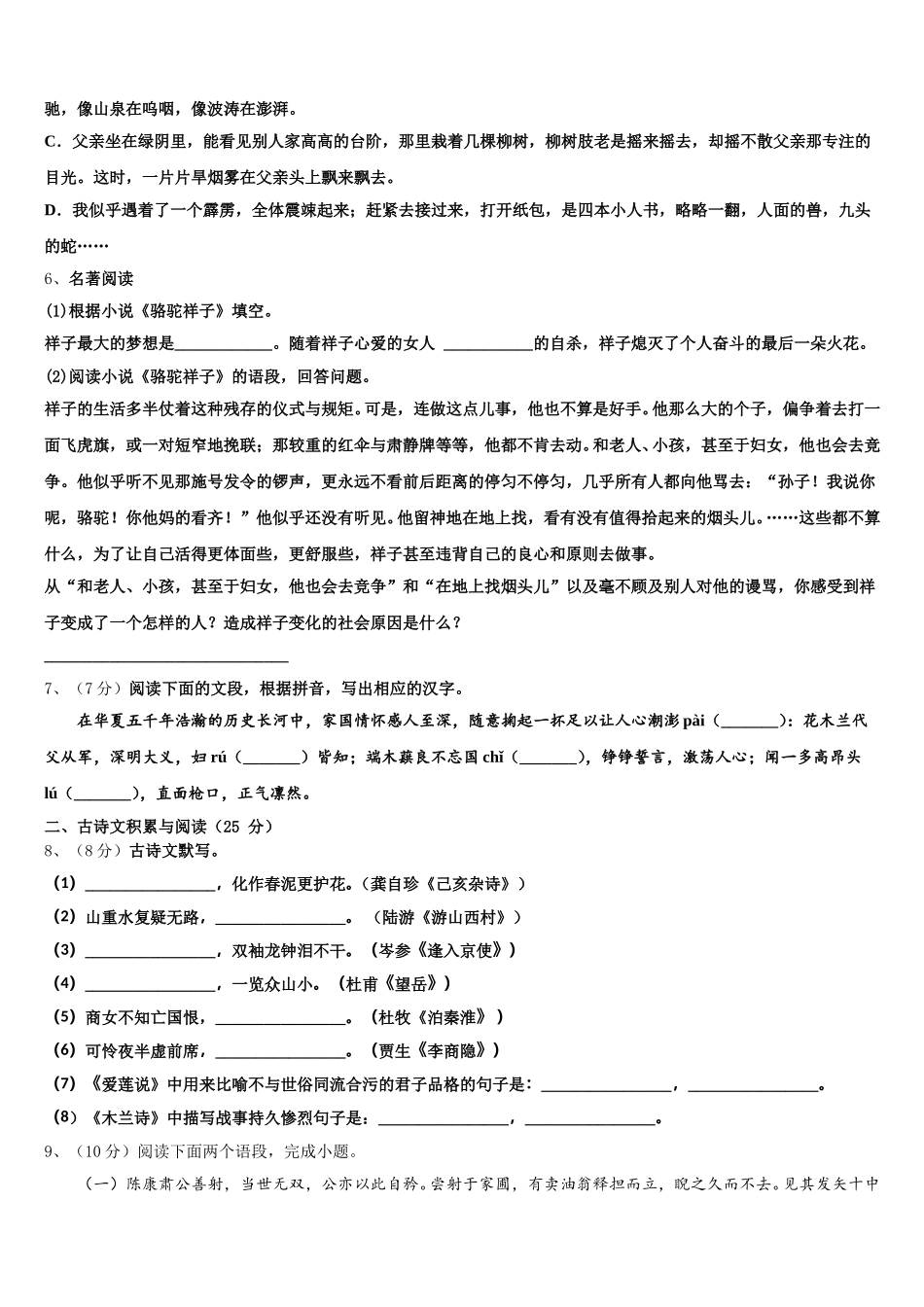 2025年安徽省合肥市庐阳区七下语文期中复习检测试题含解析_第2页