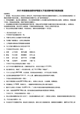 2025年安徽省合肥市庐阳区七下语文期中复习检测试题含解析