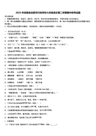 2025年安徽省合肥市行知学校七年级语文第二学期期中统考试题含解析
