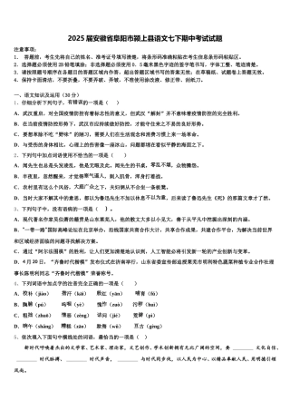 2025届安徽省阜阳市颍上县语文七下期中考试试题含解析