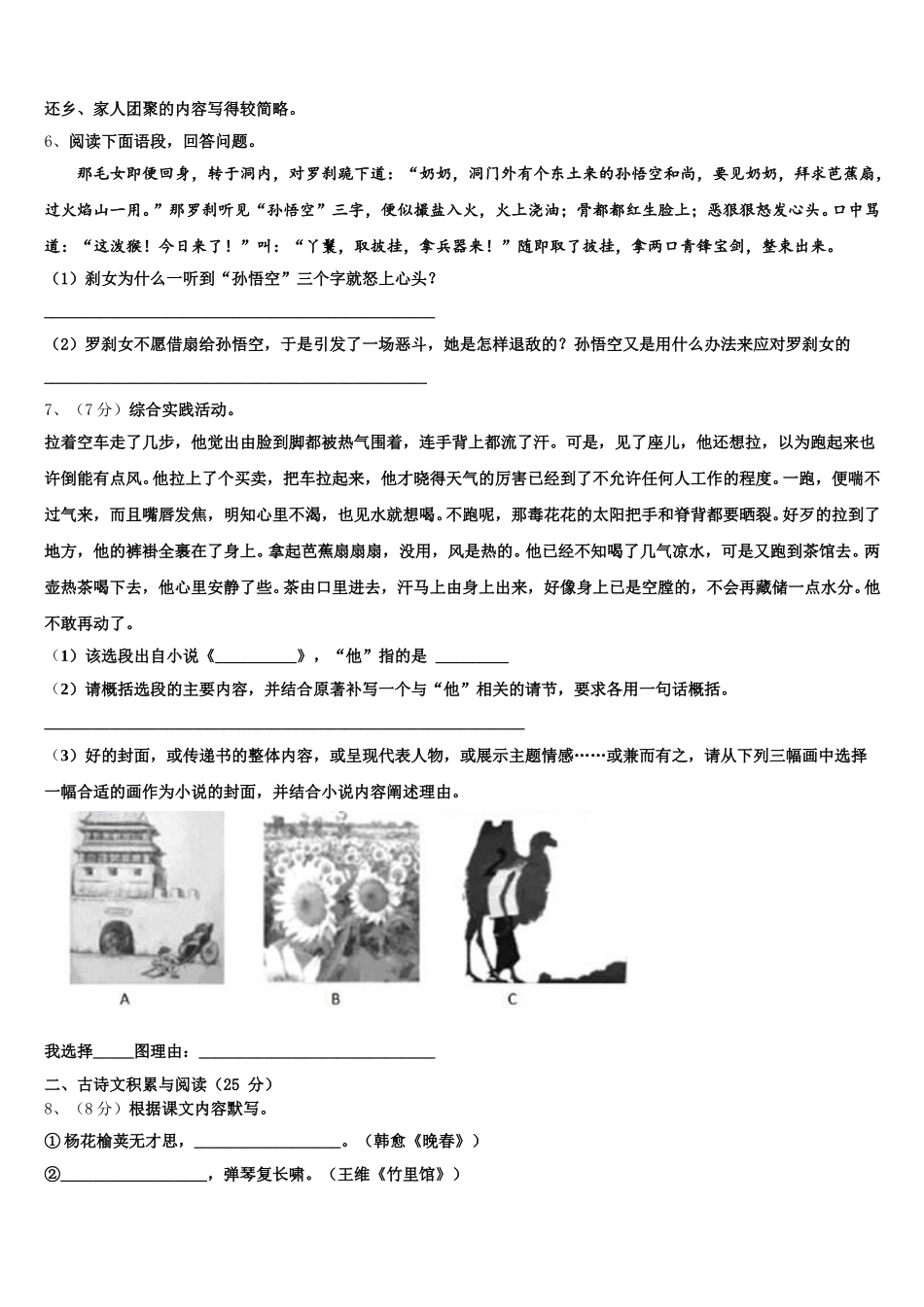 辽宁省沈阳市第一六六中学2024-2025学年七下语文期中复习检测模拟试题含解析_第2页