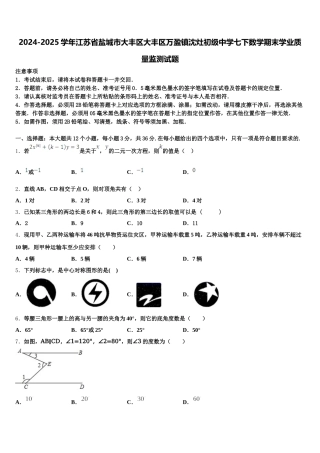 2024-2025学年江苏省盐城市大丰区大丰区万盈镇沈灶初级中学七下数学期末学业质量监测试题含解析