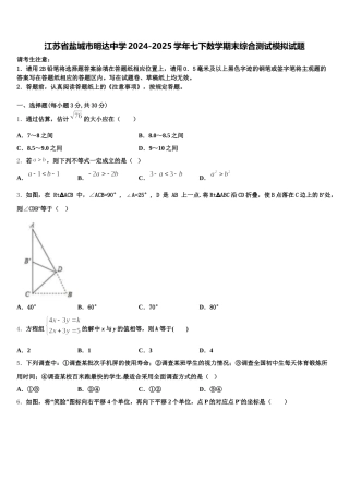 江苏省盐城市明达中学2024-2025学年七下数学期末综合测试模拟试题含解析
