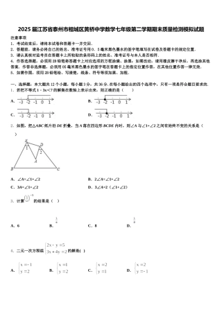 2025届江苏省泰州市相城区黄桥中学数学七年级第二学期期末质量检测模拟试题含解析