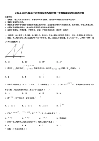 2024-2025学年江苏省淮安市八校联考七下数学期末达标测试试题含解析