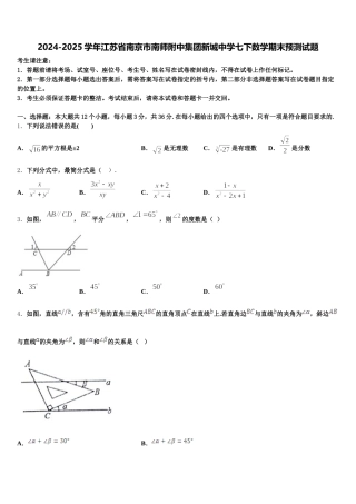 2024-2025学年江苏省南京市南师附中集团新城中学七下数学期末预测试题含解析
