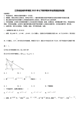 江苏省盐城市亭湖区2025年七下数学期末学业质量监测试题含解析