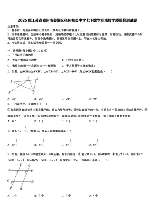 2025届江苏省泰州市姜堰区张甸初级中学七下数学期末教学质量检测试题含解析