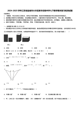 2024-2025学年江苏省盐城市大丰区新丰初级中学七下数学期末复习检测试题含解析